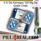 5 G De Kamagra 100 Mg De Gelée Orale viagra5